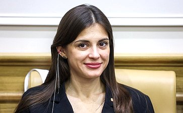 Заседание Палаты молодых законодателей при Совете Федерации