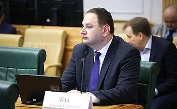 Заседание Комитета Совета Федерации по бюджету и финансовым рынкам