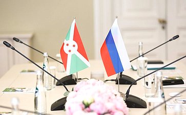Встреча Валентины Матвиенко с Председателем Сената Республики Бурунди Эммануэлем Синзохагерой