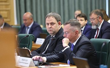 Заседание Совета по вопросам интеграции воссоединенных субъектов Российской Федерации в правовую и социально-экономическую системы Российской Федерации при Совете Федерации