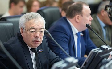 Бочков. Заседание Комитета Совета Федерации по Регламенту и организации парламентской деятельности