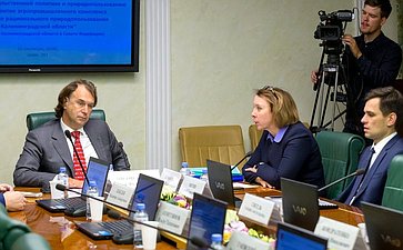 Встреча С. Лисовского с представителями органов власти Калининградской области