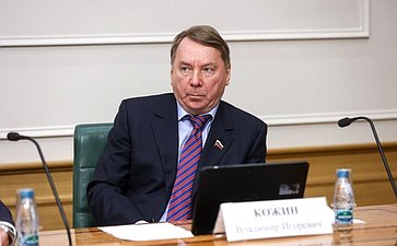 Владимир Кожин