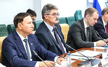 Совещание Комитета Совета Федерации по федеративному устройству, региональной политике, МСУ и делам Севера совместно с АО «Корпорацией развития Дальнего Востока и Арктики»