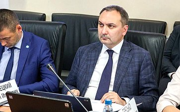 Заседание Комитета Совета Федерации по федеративному устройству, региональной политике, местному самоуправлению и делам Севера