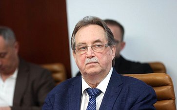 Заседание Экспертного совета по физической культуре и спорту при Комитете Совета Федерации по социальной политике