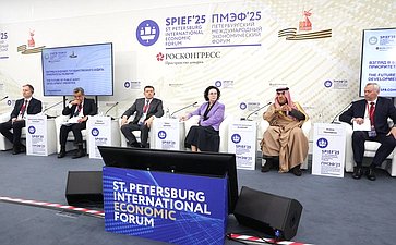 XXVIII Петербургский международный экономический форум (ПМЭФ’25). «Взгляд в будущее государственного аудита: приоритеты развития»