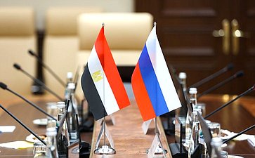 Встреча Григория Карасина с Чрезвычайным и Полномочным Послом Арабской Республики Египет в Российской Федерации