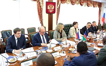 Елена Перминова встретилась с членом Постоянного комитета по вопросам государственной бюджетной отчетности и экономики Национального совета Намибии Абнером Шиконго
