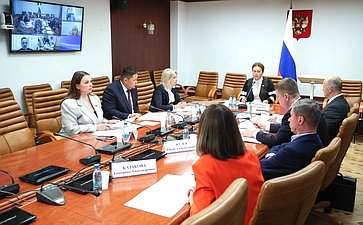 Круглый стол Комитета Совета Федерации по социальной политике «Актуальные вопросы реализации в субъектах Российской Федерации национального проекта «Продолжительная и активная жизнь»»