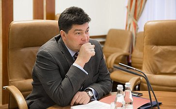 М. Маргелов провел заседание Комитета СФ по международным делам