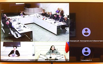 Анна Отке приняла участие в заседании постоянного комитета по межпарламентскому сотрудничеству Парламентской Ассоциации Северо-Запада России (фото: Пресс-служба Совета Федерации)