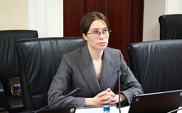 Заседание Комитета Совета Федерации по Регламенту и организации парламентской деятельности
