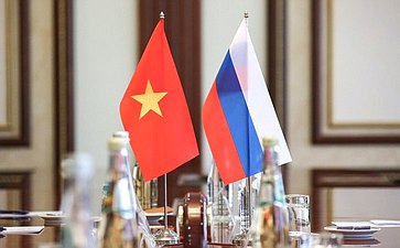 Встреча Андрея Денисова с заместителем председателя Комитета по международным делам Национального собрания Социалистической Республики Вьетнама