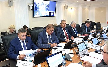 Заседание Комитета Совета Федерации по Регламенту и организации парламентской деятельности