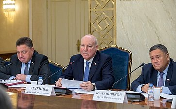 Заседание Комитета СФ по экономической политике