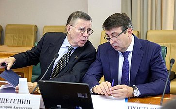 Круглый стол Комитета Совета Федерации по экономической политике «Государственная поддержка обеспечения безопасности критической инфраструктуры стратегических предприятий Российской Федерации»