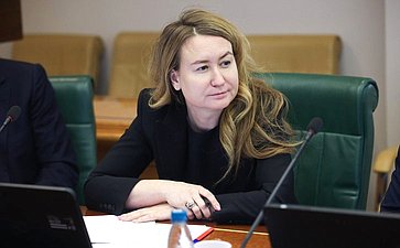 Круглый стол Комитета СФ по международным делам совместно с Комитетом СФ по конституционному законодательству и государственному строительству «Юрисдикция международных судебных и арбитражных органов в отношении Российской Федерации»