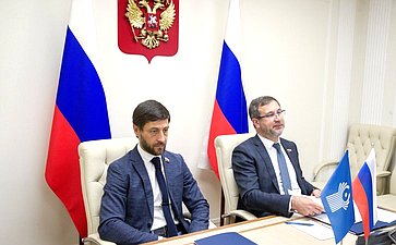 Заседание Рабочей группы МПА СНГ по подготовке проекта модельного закона «О трансграничной несостоятельности и банкротстве»