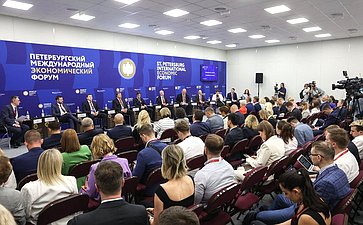 Дискуссионная сессия «Суверенитет в спорте» в рамках Петербургского международного экономического форума