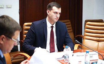 Совещание Комитета СФ по Регламенту и организации парламентской деятельности «Профессиональная этика в деятельности должностных лиц органов публичной власти»