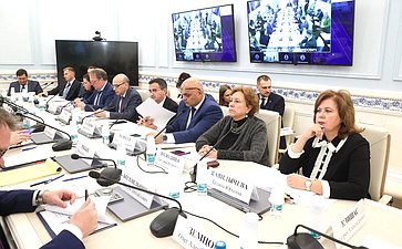 Круглый стол Комитета Совета Федерации по конституционному законодательству и государственному строительству «Адвокатура как платформа для профессионализации судебного представительства»