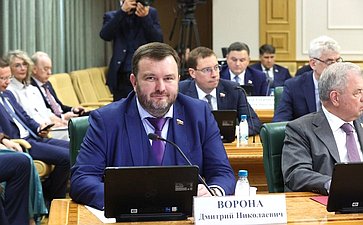Дмитрий Ворона