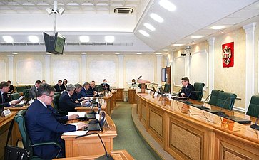 Заседание Комитета СФ по федеративному устройству, региональной политике, местному самоуправлению и делам Севера