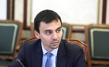 Расширенное заседание Комитета СФ по международным делам совместно с Комитетом СФ по экономической политике