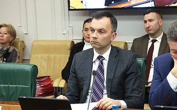 Заседание Комитета Совета Федерации по международным делам