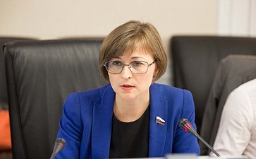Л. Бокова провела заседание Временной комиссии 7