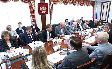 Круглый стол на тему «Сотрудничество Российской Федерации и Китайской Народной Республики как ключевой фактор стабильности в мировых делах»