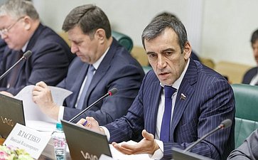 Н. Власенко Заседание Комитета Совета Федерации по экономической политике