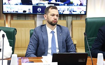 Круглый стол Комитета Совета Федерации по экономической политике на тему «Актуальные вопросы реализации национального проекта «Эффективная и конкурентная экономика»»