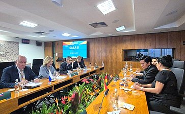 Делегация Совета Федерации приняла участие в работе XI Парламентского форума БРИКС в г. Бразилиа