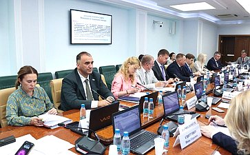 Заседание Комитета Совета Федерации по социальной политике