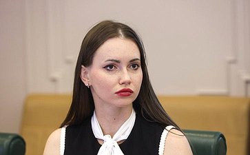 Круглый стол на тему «Актуальные вопросы обеспечения последовательной и обоснованной гуманизации уголовного законодательства Российской Федерации»