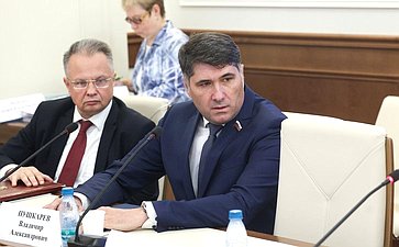 Владимир Пушкарев