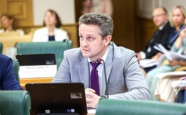 Заседание Комитета Совета Федерации по конституционному законодательству и государственному строительству