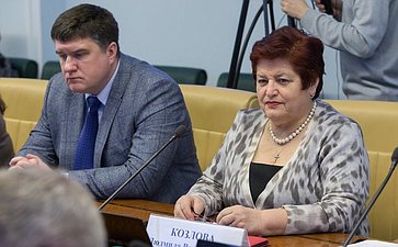 Л. Козлова Заседание Комитета СФ по социальной политике