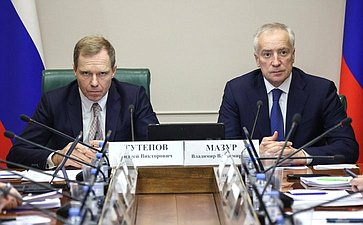 Расширенное заседание Комитета СФ по экономической политике (в рамках Дней Томской области в СФ)