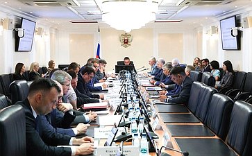 Заседание Комитета Совета Федерации по Регламенту и организации парламентской деятельности