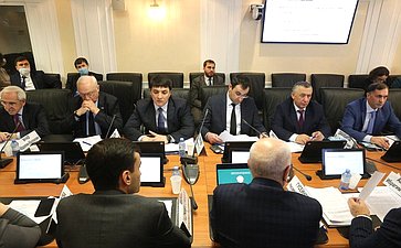 Расширенное заседание Комитета СФ по федеративному устройству, региональной политике, местному самоуправлению и делам Севера