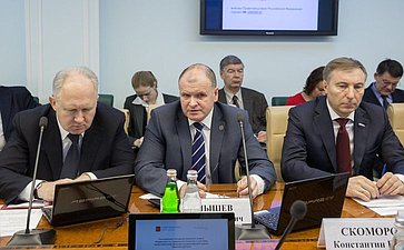 26-11-13 Заседание комитета СФ по Соцполитике-4 Скоморохин, Чернышев