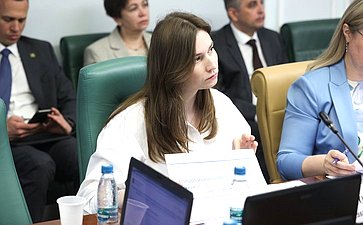 Расширенное заседание Комитета Совета Федерации по социальной политике (в рамках Дней Саратовской области в Совете Федерации)