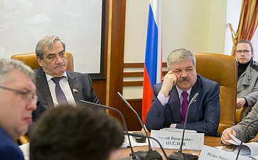 В Совете Федерации состоялось заседание Президиума Экспертного совета по Арктике и Антарктике при СФ