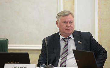 В. Петров Заседание Комитета СФ по бюджету и финансовым рынкам