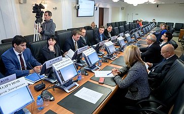 Заседание Экспертного совета при Комитете СФ по экономической политике по созданию основ цифронизации экономики