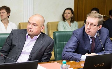 О. Еремеев и А. Майоров Заседание Комитета Совета Федерации по экономической политике