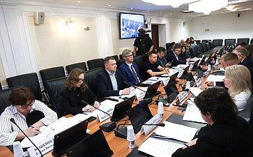 Круглый стол Комитета СФ по социальной политике на тему «Вопросы профессиональной самореализации молодых граждан России: современные вызовы и перспективы»